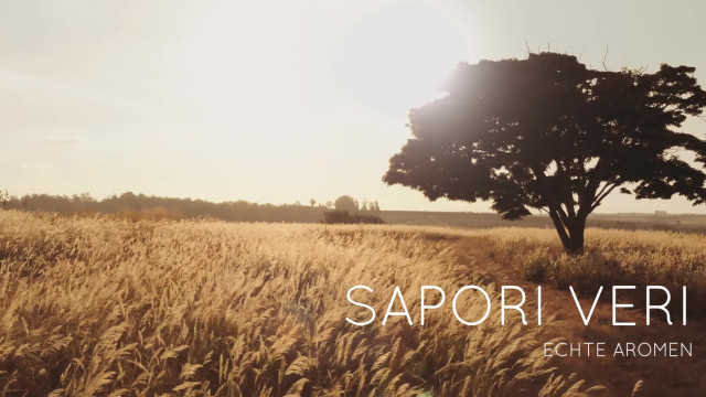 vlcsnap-2024-09-27-11h13m57s155 Image